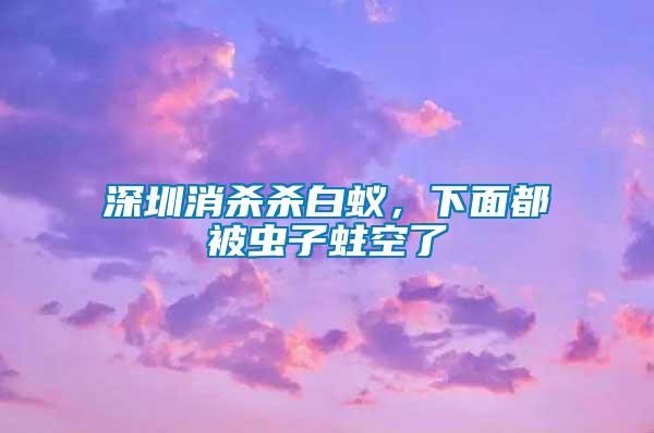 深圳消殺殺白蟻，下面都被蟲子蛀空了