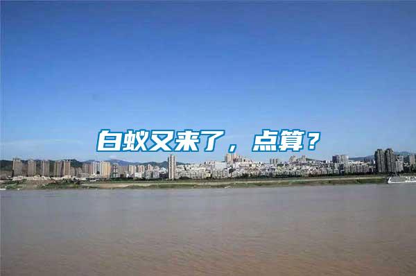 白蟻又來了，點算？