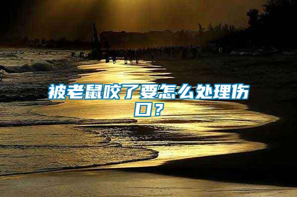 被老鼠咬了要怎么處理傷口？