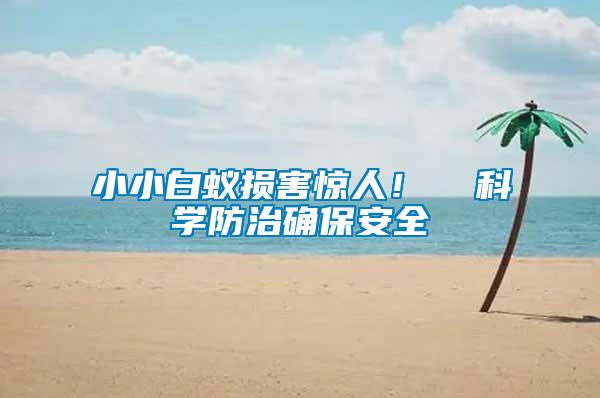 小小白蟻損害驚人！  科學防治確保安全