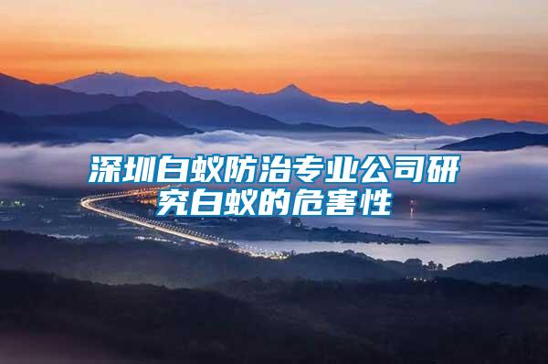 深圳白蟻防治專(zhuān)業(yè)公司研究白蟻的危害性
