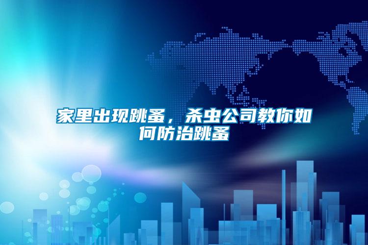 家里出現(xiàn)跳蚤，殺蟲公司教你如何防治跳蚤