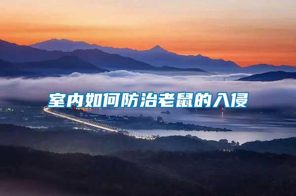 室內如何防治老鼠的入侵