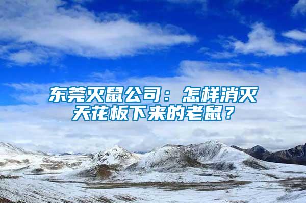 東莞滅鼠公司：怎樣消滅天花板下來的老鼠？