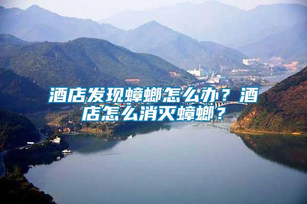 酒店發現蟑螂怎么辦？酒店怎么消滅蟑螂？