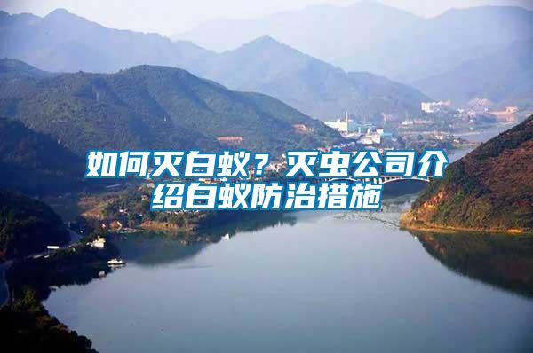 如何滅白蟻？滅蟲(chóng)公司介紹白蟻防治措施