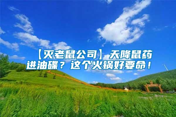 【滅老鼠公司】天降鼠藥進油碟？這個火鍋好要命！