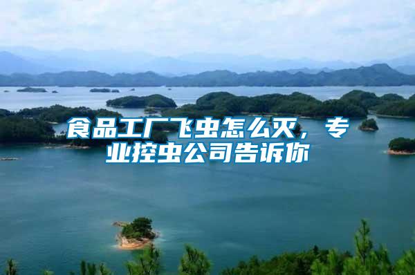 食品工廠飛蟲怎么滅，專業(yè)控蟲公司告訴你