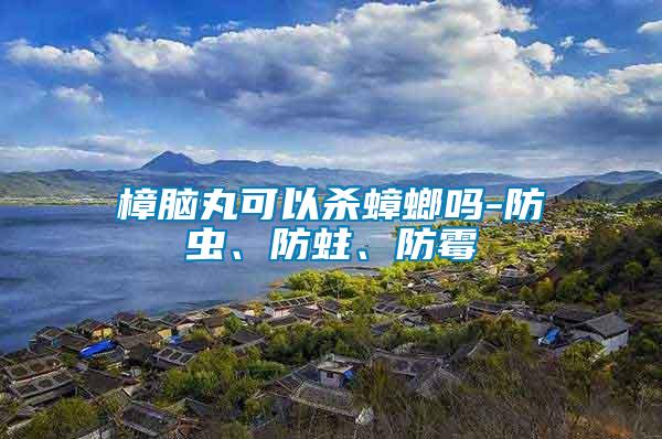 樟腦丸可以殺蟑螂嗎-防蟲、防蛀、防霉