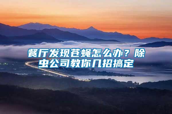 餐廳發現蒼蠅怎么辦？除蟲公司教你幾招搞定