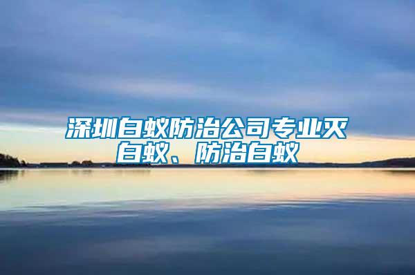 深圳白蟻防治公司專業滅白蟻、防治白蟻