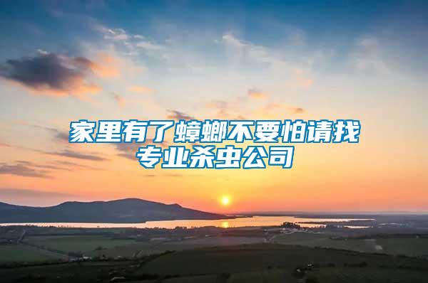 家里有了蟑螂不要怕請找專業殺蟲公司