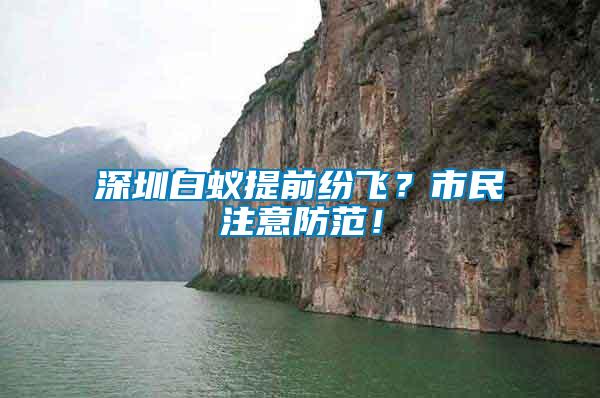深圳白蟻提前紛飛？市民注意防范！