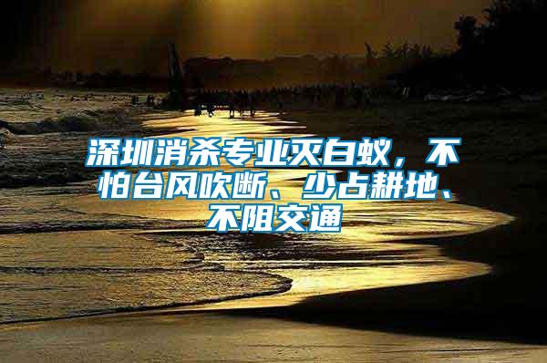深圳消殺專業(yè)滅白蟻，不怕臺風吹斷、少占耕地、不阻交通