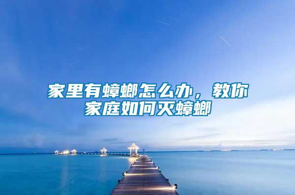 家里有蟑螂怎么辦，教你家庭如何滅蟑螂