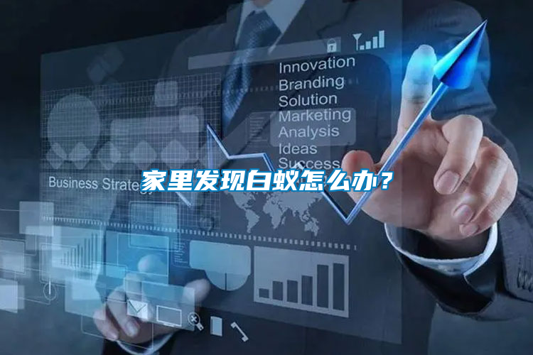 家里發(fā)現(xiàn)白蟻怎么辦？