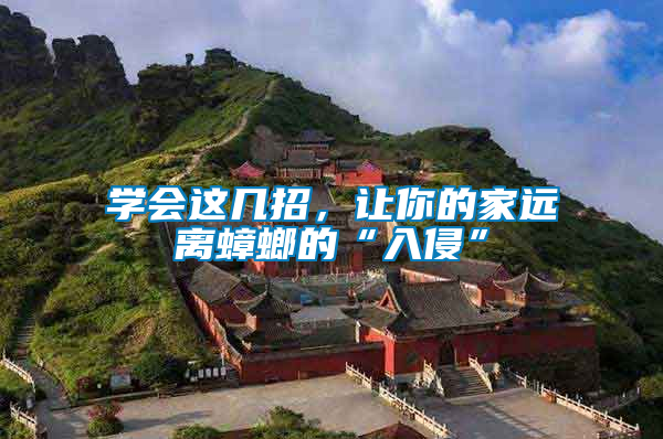 學會這幾招，讓你的家遠離蟑螂的“入侵”