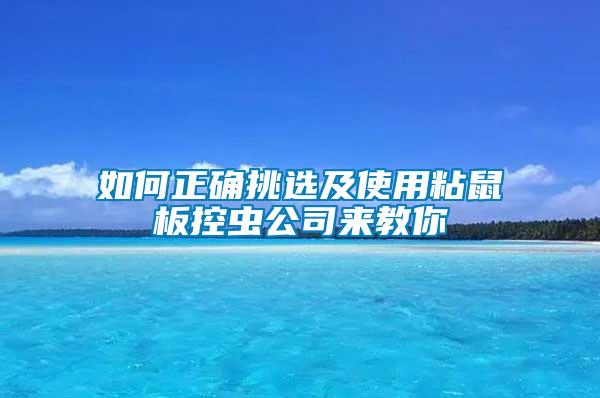 如何正確挑選及使用粘鼠板控蟲公司來(lái)教你