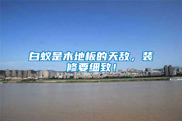 白蟻是木地板的天敵，裝修要細致！