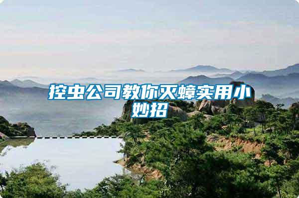 控蟲公司教你滅蟑實(shí)用小妙招