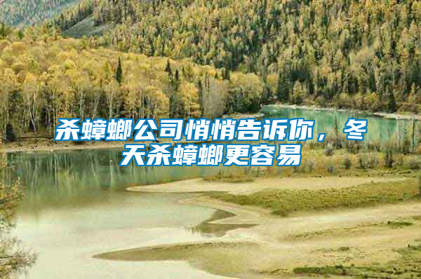 殺蟑螂公司悄悄告訴你，冬天殺蟑螂更容易