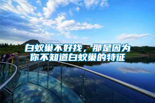 白蟻巢不好找，那是因為你不知道白蟻巢的特征