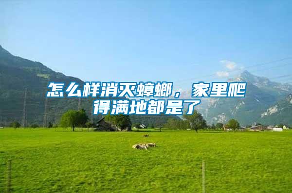 怎么樣消滅蟑螂，家里爬得滿地都是了