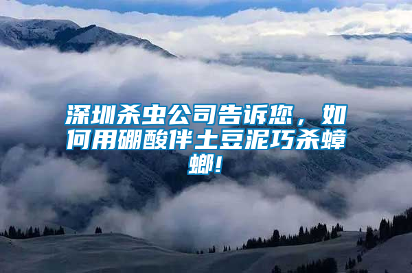 深圳殺蟲公司告訴您，如何用硼酸伴土豆泥巧殺蟑螂!
