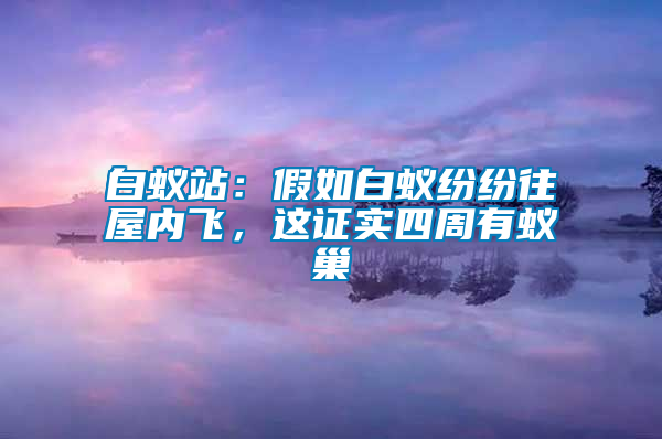 白蟻站：假如白蟻紛紛往屋內(nèi)飛，這證實(shí)四周有蟻巢