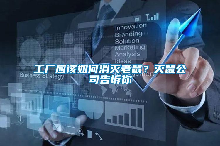 工廠應該如何消滅老鼠？滅鼠公司告訴你