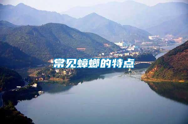 常見(jiàn)蟑螂的特點(diǎn)