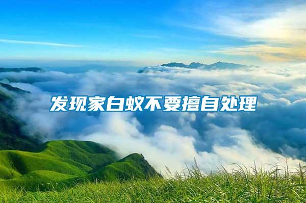 發現家白蟻不要擅自處理