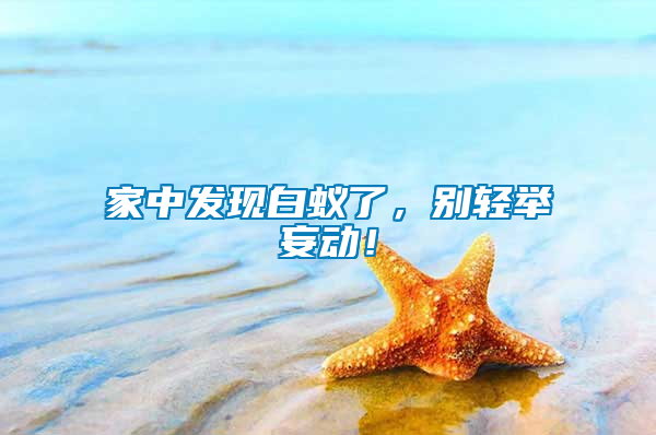 家中發(fā)現(xiàn)白蟻了，別輕舉妄動(dòng)！