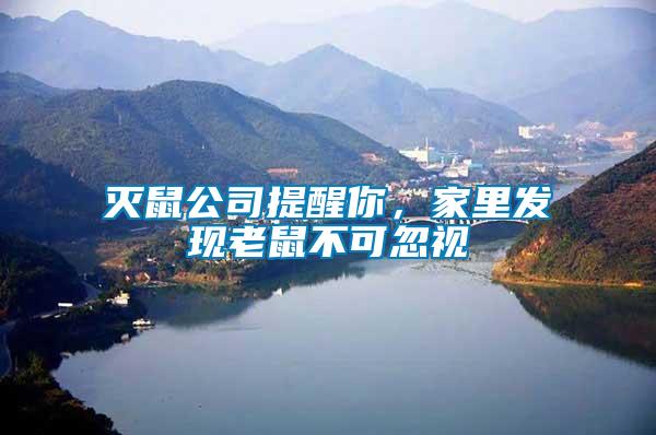 滅鼠公司提醒你，家里發現老鼠不可忽視