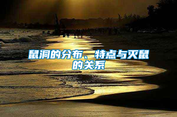 鼠洞的分布、特點與滅鼠的關系