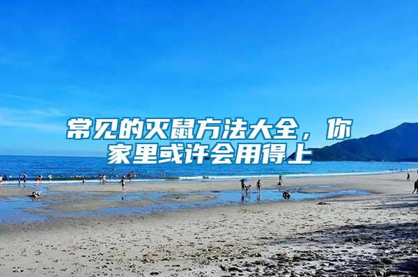 常見的滅鼠方法大全，你家里或許會(huì)用得上