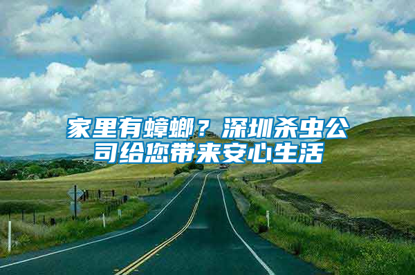 家里有蟑螂？深圳殺蟲公司給您帶來安心生活