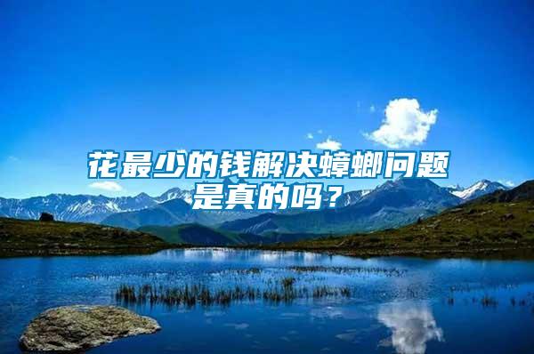 花最少的錢解決蟑螂問題是真的嗎？