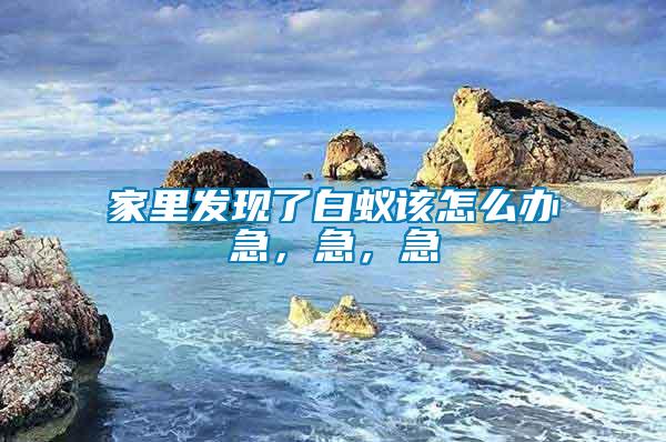 家里發現了白蟻該怎么辦急，急，急