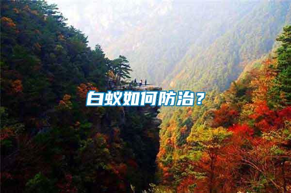 白蟻如何防治？