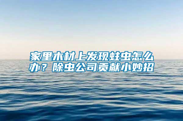 家里木材上發(fā)現(xiàn)蛀蟲(chóng)怎么辦？除蟲(chóng)公司貢獻(xiàn)小妙招