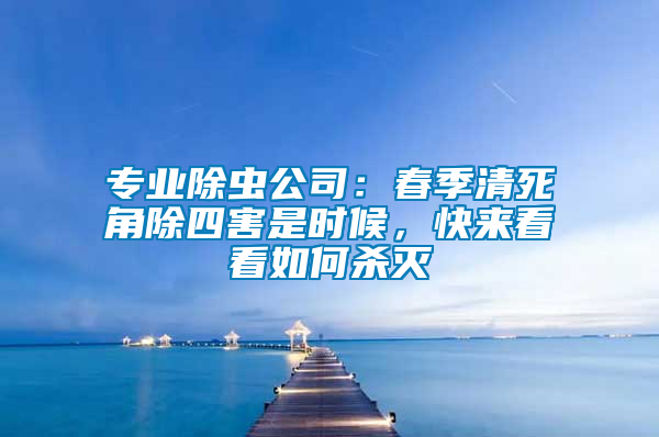 專業(yè)除蟲公司：春季清死角除四害是時候，快來看看如何殺滅