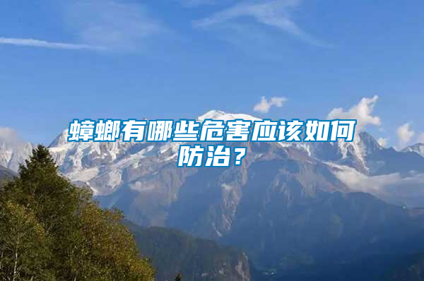 蟑螂有哪些危害應(yīng)該如何防治？