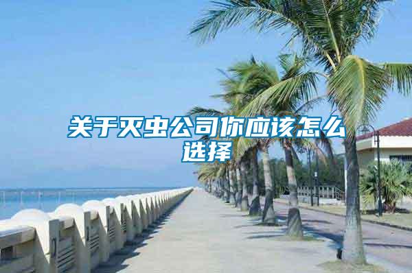 關(guān)于滅蟲(chóng)公司你應(yīng)該怎么選擇