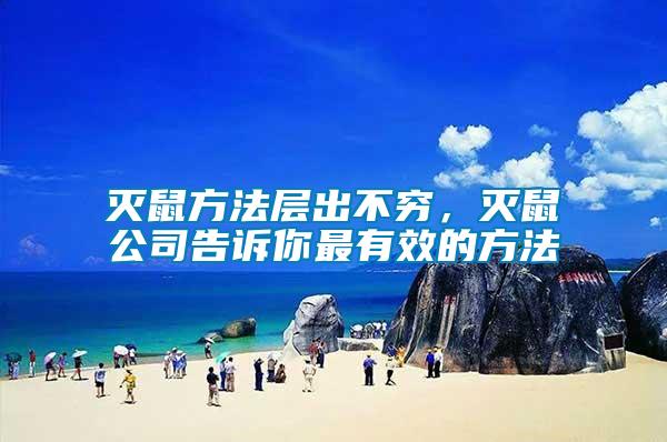 滅鼠方法層出不窮，滅鼠公司告訴你最有效的方法