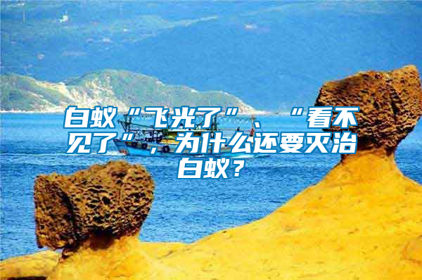 白蟻“飛光了”、“看不見了”，為什么還要滅治白蟻？