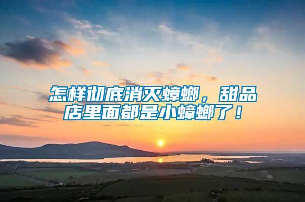 怎樣徹底消滅蟑螂，甜品店里面都是小蟑螂了！