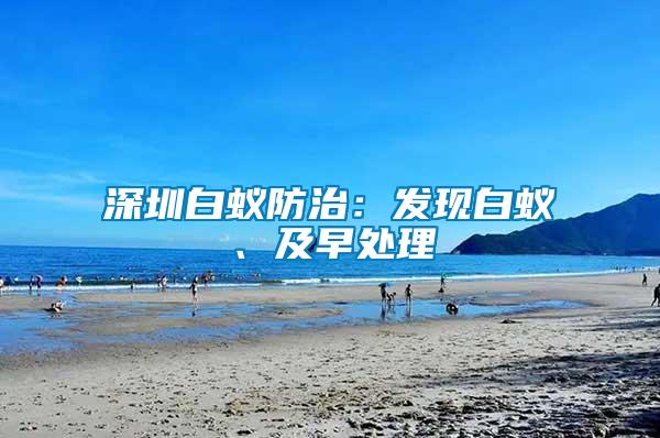 深圳白蟻防治：發現白蟻、及早處理