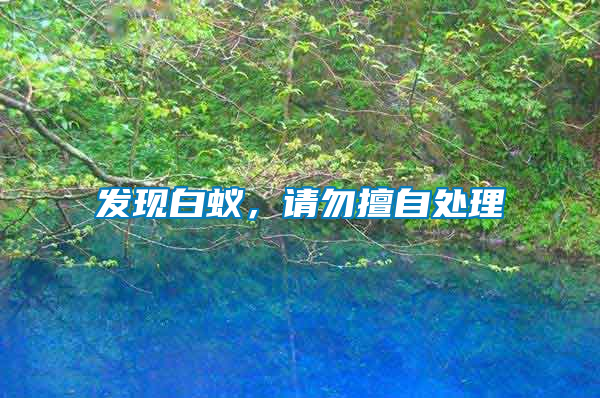 發現白蟻，請勿擅自處理