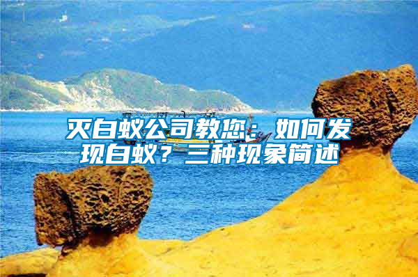 滅白蟻公司教您：如何發現白蟻？三種現象簡述